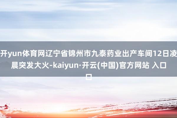 開yun體育網遼寧省錦州市九泰藥業出產車間12日凌晨突發大火-kaiyun·開云(中國)官方網站 入口