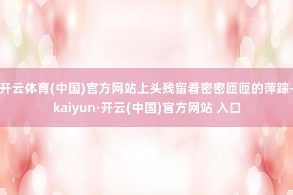 開云體育(中國)官方網站上頭殘留著密密匝匝的萍蹤-kaiyun·開云(中國)官方網站 入口