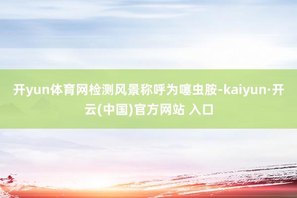 開yun體育網檢測風景稱呼為噻蟲胺-kaiyun·開云(中國)官方網站 入口