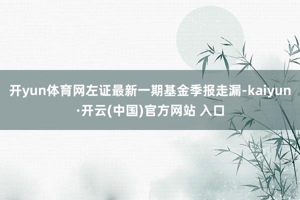 開yun體育網左證最新一期基金季報走漏-kaiyun·開云(中國)官方網站 入口