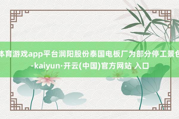 體育游戲app平臺潤陽股份泰國電板廠為部分停工景色-kaiyun·開云(中國)官方網站 入口