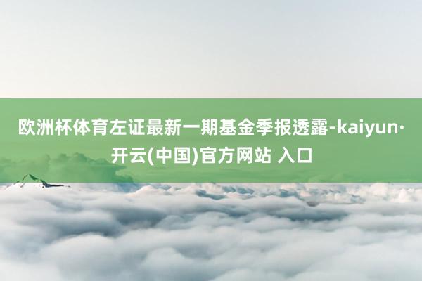 歐洲杯體育左證最新一期基金季報透露-kaiyun·開云(中國)官方網站 入口