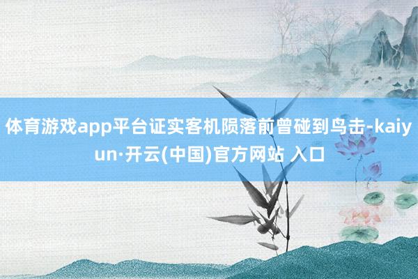 體育游戲app平臺(tái)證實(shí)客機(jī)隕落前曾碰到鳥(niǎo)擊-kaiyun·開(kāi)云(中國(guó))官方網(wǎng)站 入口