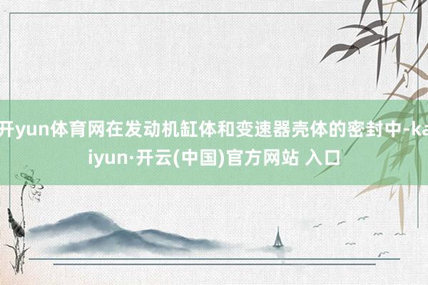 開yun體育網(wǎng)在發(fā)動(dòng)機(jī)缸體和變速器殼體的密封中-kaiyun·開云(中國)官方網(wǎng)站 入口