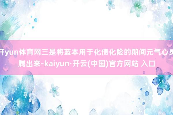 開yun體育網三是將藍本用于化債化險的期間元氣心靈騰出來-kaiyun·開云(中國)官方網站 入口